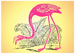 Розовый фламинго. Модный символ наступившего лета