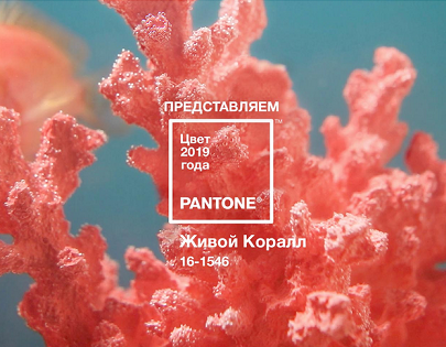 Живой Коралл. Цвет года по версии Pantone