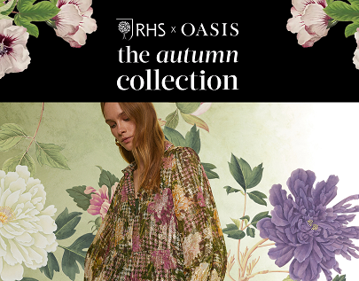 Украсьте осень пышными цветами вместе с новинками Oasis 
